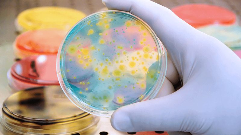 CRo实施流程五步法：揭秘生物制药研发的标准化路径