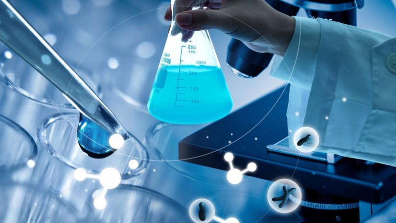 小分子CDMO：揭秘药物研发背后的“隐形功臣