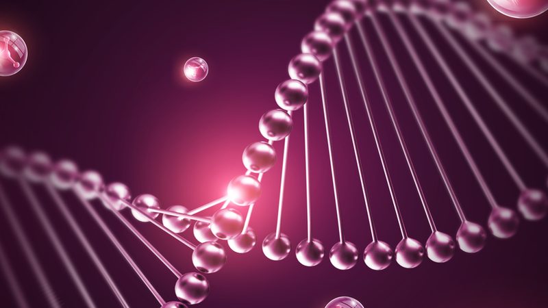 CRO策略转化率提升方案：从实验设计到数据落地的完整路径