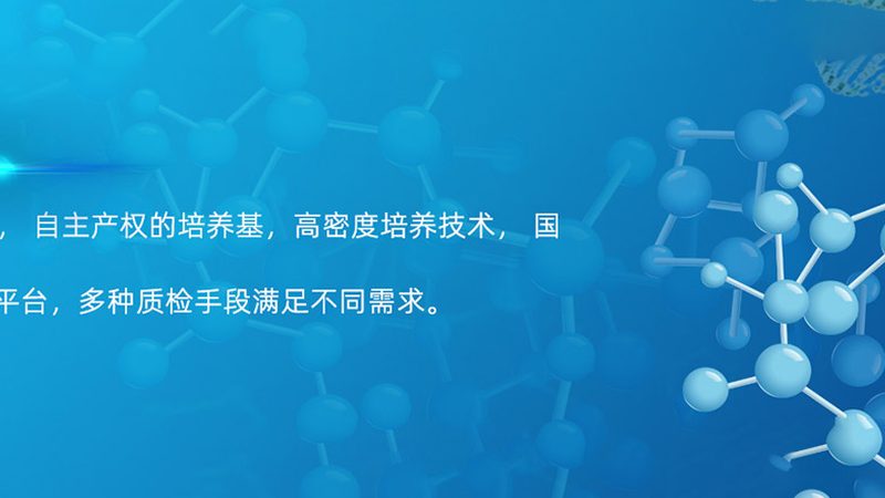 CDMO代理加盟，揭秘成功之路的五大步骤