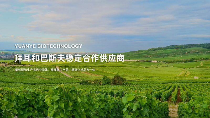 PCR检测标本类型解析：揭秘实验室的“探针”世界