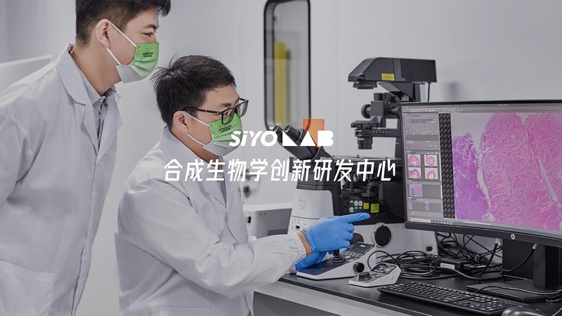 生物医药外包项目管理办法审计要点解析