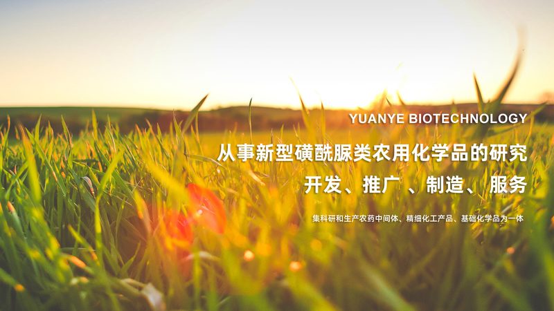 CDMO与CMO：揭秘两者价格差异背后的秘密
