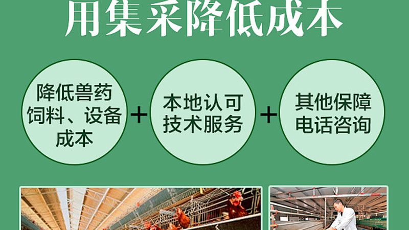 如何挑选上海生物医药研发公司：关注注册合规与安全性**