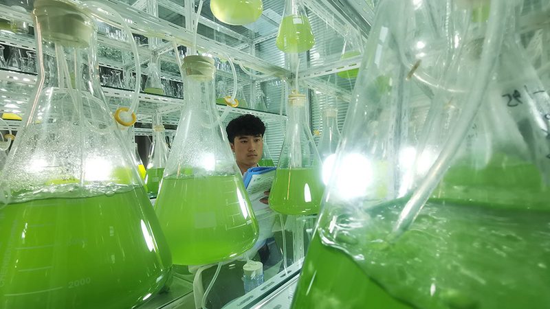 CDMO价格对比：揭秘选择最经济的考量因素